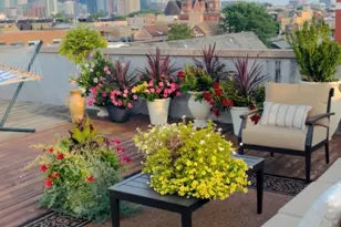 1446 W Cortez Ave, Chicago, IL 60642 - Photo 22