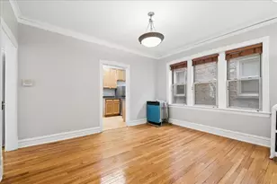 242 S Maple Ave, Oak Park, IL 60302 - Photo 6