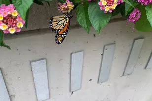 [Address not provided], Chicago, IL 60610 - Photo 30