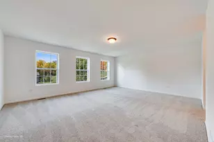 25919 W Ravine Woods Dr, Channahon, IL 60410 - Photo 10