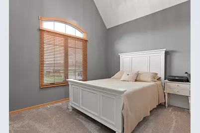 21163 S Wooded Cove Drive, Elwood, IL 60421 - Photo 20