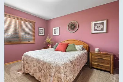 21163 S Wooded Cove Drive, Elwood, IL 60421 - Photo 20