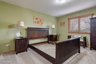 21163 S Wooded Cove Dr, Elwood, IL 60421 - Photo 22