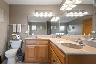21163 S Wooded Cove Dr, Elwood, IL 60421 - Photo 18