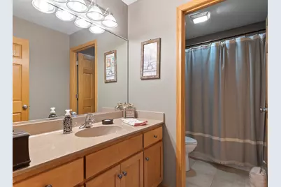 21163 S Wooded Cove Drive, Elwood, IL 60421 - Photo 22