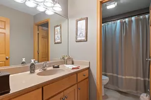 21163 S Wooded Cove Dr, Elwood, IL 60421 - Photo 22