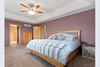 21163 S Wooded Cove Drive, Elwood, IL 60421 - Photo 16