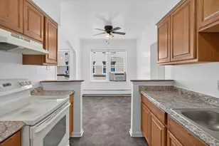 7019 S Merrill Ave, Chicago, IL 60649 - Photo 32