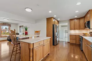 227 Lincoln St, Schaumburg, IL 60194 - Photo 8