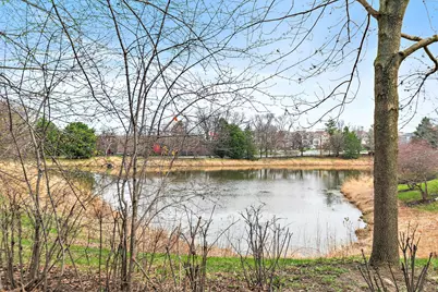 227 Lincoln Street, Schaumburg, IL 60194 - Photo 32