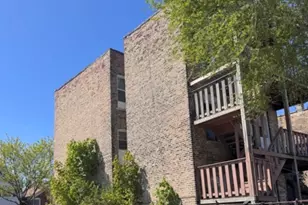 944 W 18th St, Chicago, IL 60608 - Photo 20