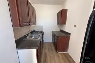 6930 N Greenview Ave, Chicago, IL 60626 - Photo 10