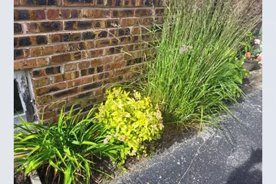 18630 Highland Avenue, Homewood, IL 60430 - Photo 6