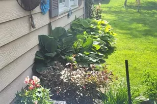 18630 Highland Ave, Homewood, IL 60430 - Photo 38