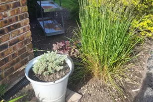 18630 Highland Ave, Homewood, IL 60430 - Photo 32