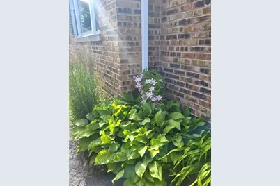 18630 Highland Avenue, Homewood, IL 60430 - Photo 8