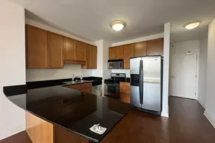 1101 S State St, Chicago, IL 60605 - Photo 2