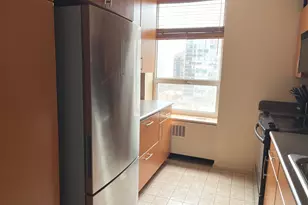 70 W Burton Pl, Chicago, IL 60610 - Photo 4