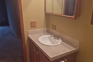 10864 La Costa LN, Frankfort, IL 60423 - Photo 20