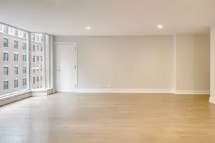 227 E Walton Pl, Chicago, IL 60611 - Photo 10