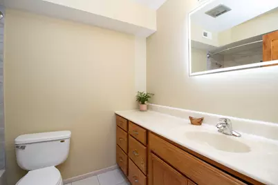 18079 Live Oak Court #1616, Tinley Park, IL 60477 - Photo 24