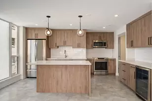 227 E Walton Pl, Chicago, IL 60611 - Photo 2