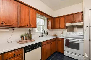 19 W Hattendorf Ave, Roselle, IL 60172 - Photo 20