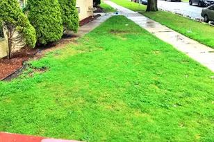 2430 E 73rd St, Chicago, IL 60649 - Photo 24