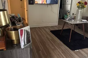 7363 S South Shore Dr, Chicago, IL 60649 - Photo 4