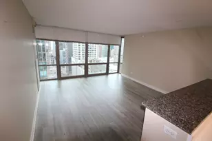 2 E Erie St, Chicago, IL 60611 - Photo 4