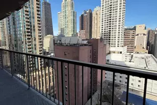 [Address not provided], Chicago, IL 60611 - Photo 12