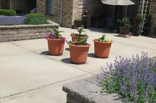 1620 Waxwing Ct, Schaumburg, IL 60173 - Photo 22