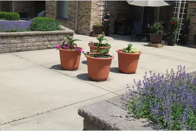 1620 Waxwing Court, Schaumburg, IL 60173 - Photo 24