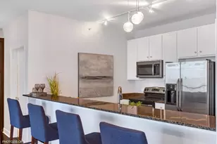 100 E 14th St, Chicago, IL 60605 - Photo 10