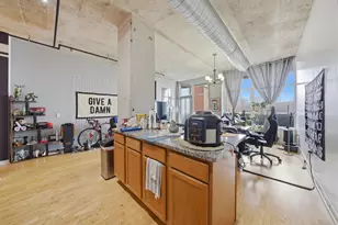 50 E 16th St, Chicago, IL 60616 - Photo 12