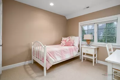 249 E Sheridan Place, Lake Bluff, IL 60044 - Photo 28