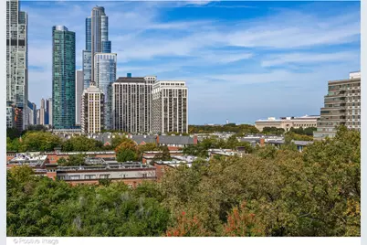 1601 S Indiana Avenue #503, Chicago, IL 60616 - Photo 38