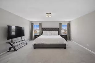 142 Roman Ln, Hawthorn Woods, IL 60047 - Photo 12