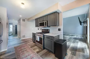 229 Spring Point Dr, Carpentersville, IL 60110 - Photo 8