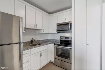 1355 N Sandburg Terrace #2005, Chicago, IL 60610 - Photo 10