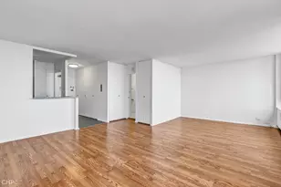 1355 N Sandburg Terrace, Chicago, IL 60610 - Photo 8