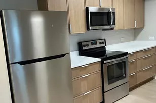 5125 Blodgett Ave, Downers Grove, IL 60515 - Photo 2