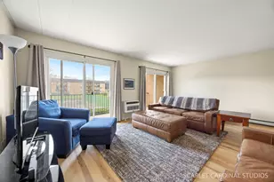 1056 N Mill St, Naperville, IL 60563 - Photo 2