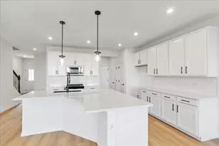 681 Maiden Grass Wy, Bolingbrook, IL 60490 - Photo 8