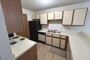 1345 Cunat Ct, Lake in the Hills, IL 60156 - Photo 4