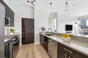 757 N Orleans St, Chicago, IL 60654 - Photo 8