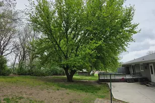 15510 Lomax Rd, Prophetstown, IL 61277 - Photo 22