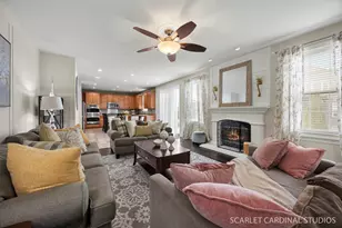 253 Bluegrass Pkwy, Oswego, IL 60543 - Photo 12