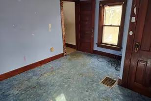 302 N Bluff St, Albany, IL 61230 - Photo 20