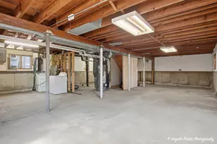 322 S Seymour Ave, Mundelein, IL 60060 - Photo 12